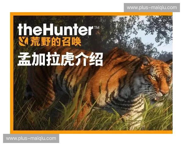 进击的“南亚虎”：孟加拉的崛起与全球供应链的权力大位移